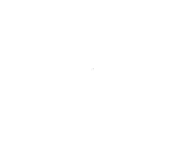 Lilica Variedades